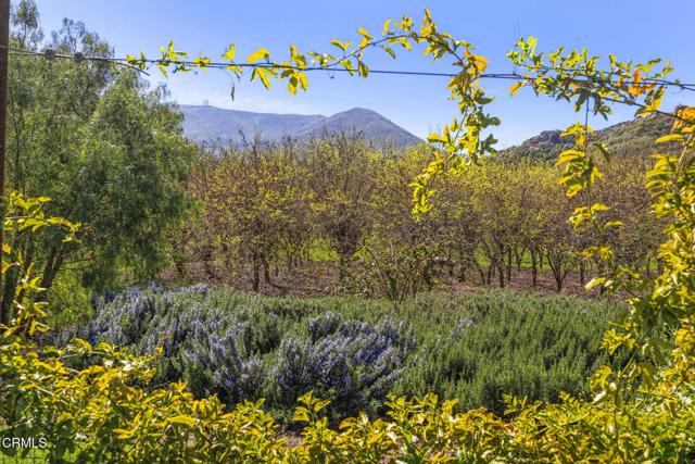 4620 Casitas Pass Road, Ventura CA: https://media.crmls.org/mediaz/c4e5c243-0354-43e1-b778-52560e28a69c.jpg