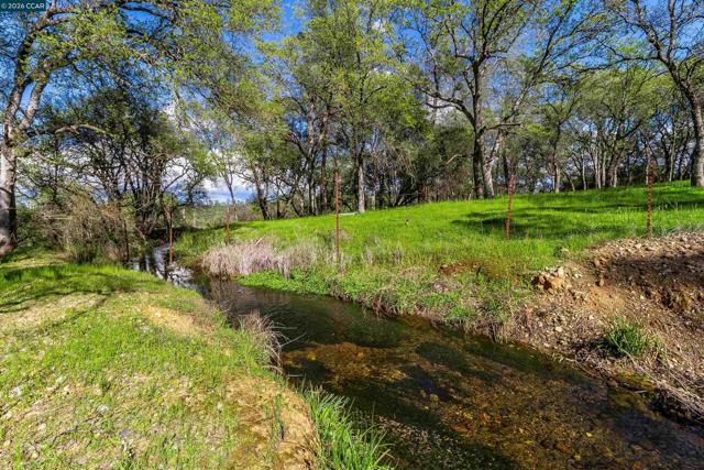 125 Sam Lynn Way, Oroville CA: https://media.crmls.org/mediaz/c4e88b52-eaa9-4da6-b157-d67273e70cfb.jpg