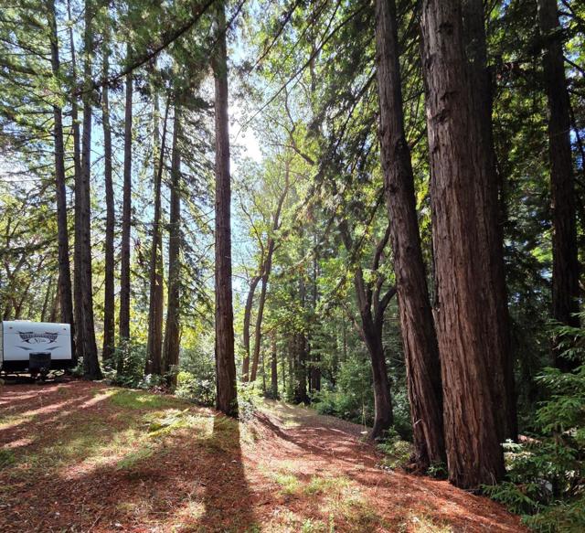 1140 Warren Drive, Santa Cruz CA: https://media.crmls.org/mediaz/c4e8e589-d4e3-404d-856a-466d89304bc3.jpg