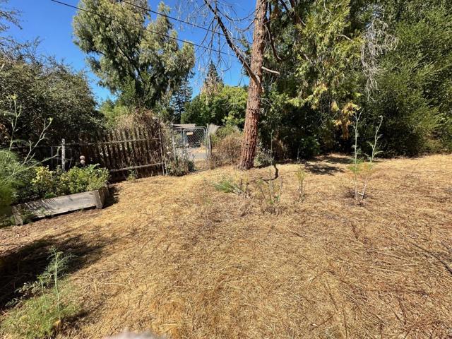 399 Hawthorne Avenue, Los Altos CA: https://media.crmls.org/mediaz/c4ea074a-7bf1-41fe-82a2-3b1d8c0d7ac4.jpg