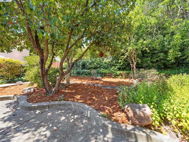 160 Moraga Way, Orinda CA: https://media.crmls.org/mediaz/c4fe6cc4-759d-4a01-b554-c1d9e75912ab.jpg