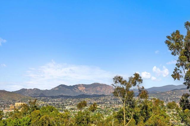 Detail Gallery Image 39 of 47 For 10447 Chevy Lane Ln, La Mesa,  CA 91941 - 3 Beds | 2 Baths