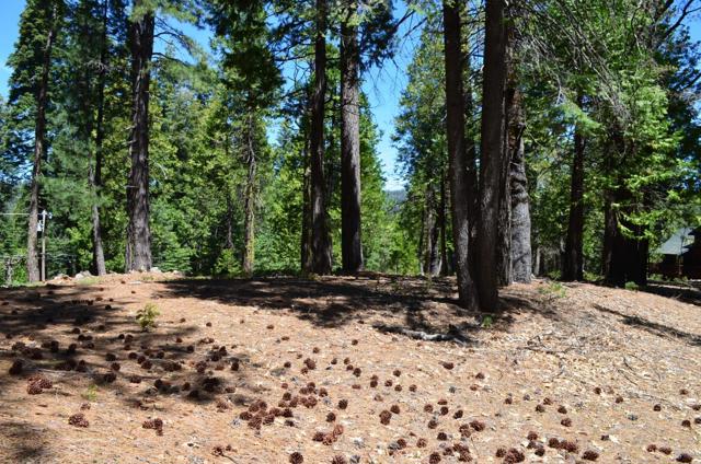 3112 Apache Road, Dorrington CA: https://media.crmls.org/mediaz/c500a509-732a-47bf-9263-f3ca97ea648c.jpg