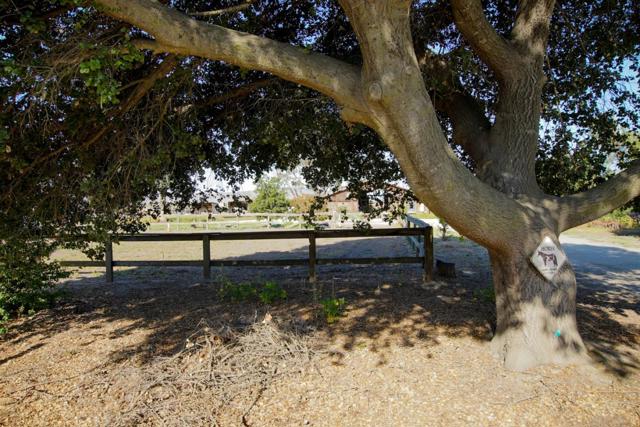 6200 Frye Lane, Hollister CA: https://media.crmls.org/mediaz/c502e47d-2b87-440a-957e-4c6cc3d2bda2.jpg