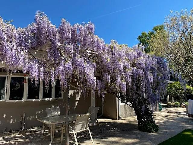 MLS #ML82029535 image #49