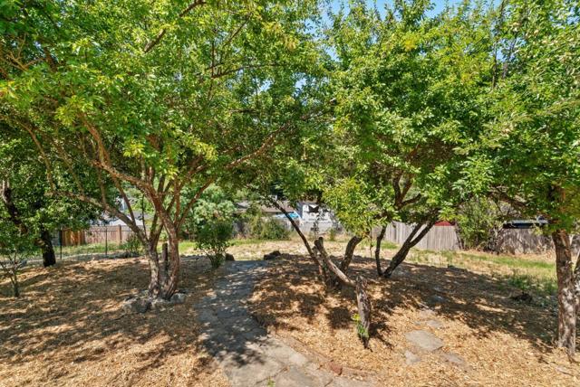 0 Apple Knoll Drive, Boulder Creek CA: https://media.crmls.org/mediaz/c5080348-deb5-4777-9340-8d07d324a521.jpg