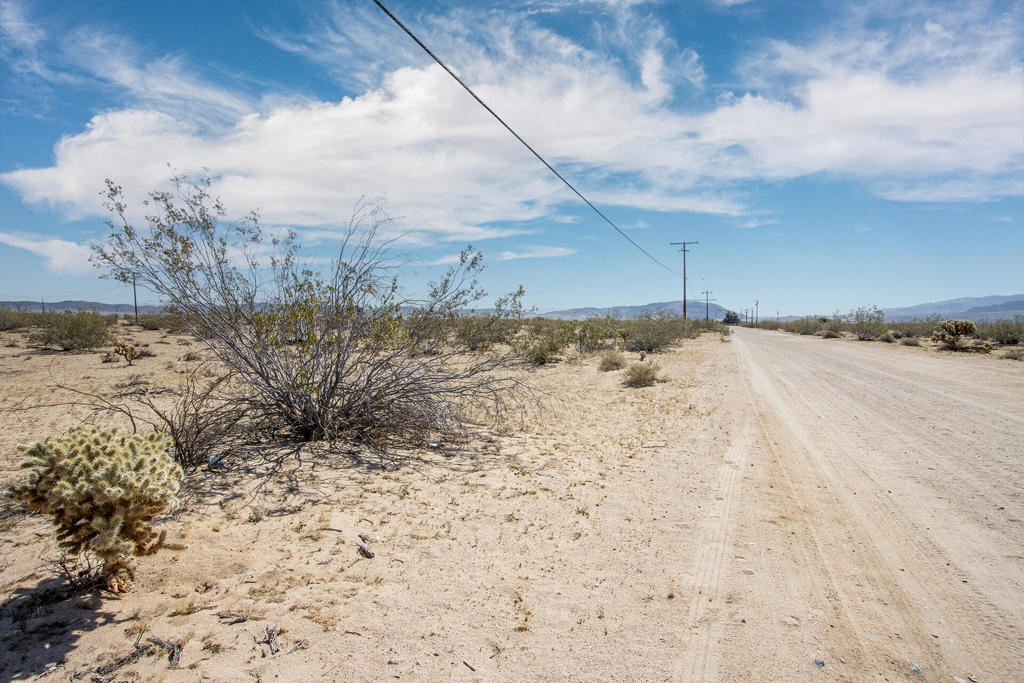 MLS #219130433PS image #5