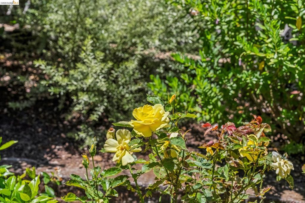 https://media.crmls.org/mediaz/c53e6f1b-0a22-4183-b734-e498c7eed602.jpg?preset=X-Large
