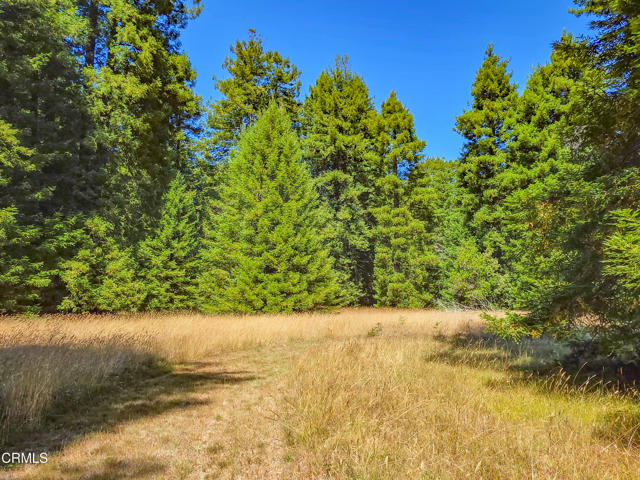 Detail Gallery Image 9 of 31 For 21601 Hellman Ln, Fort Bragg,  CA 95437 - 3 Beds | 1 Baths