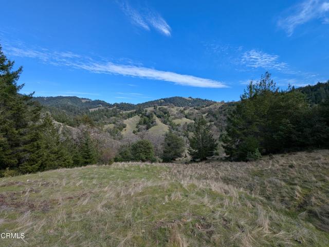Detail Gallery Image 1 of 49 For 22346 Rickard Ranch Rd, Point Arena,  CA 95468 - – Beds | – Baths