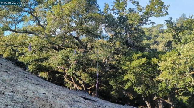 13 St. James Ct., Orinda CA: https://media.crmls.org/mediaz/c55f4296-d831-432c-9d7e-0a3dd19f050a.jpg