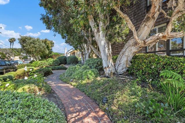 335 Fern Glen, La Jolla CA: https://media.crmls.org/mediaz/c55f46c3-4eda-40ae-8890-4dd05d41c01c.jpg