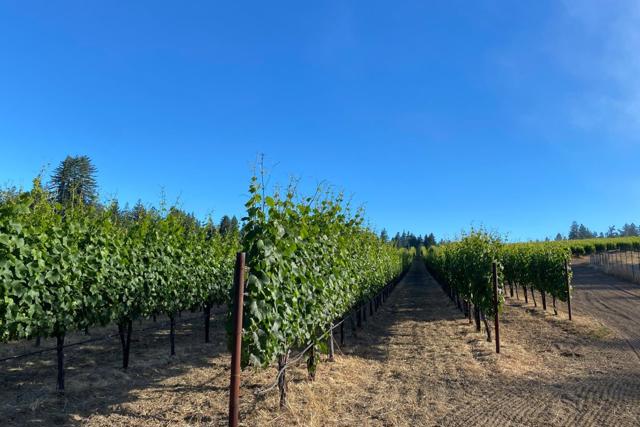 420 Bonnie Brae Road & 3980 Bonny Doon Road, Santa Cruz CA: https://media.crmls.org/mediaz/c56e3d9e-c3a2-4daf-9d3d-78415cc890cf.jpg