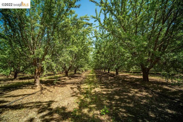 3870 Orwood Road, Brentwood CA: https://media.crmls.org/mediaz/c56ef707-b304-4c18-9d85-ca0d1cc9d607.jpg
