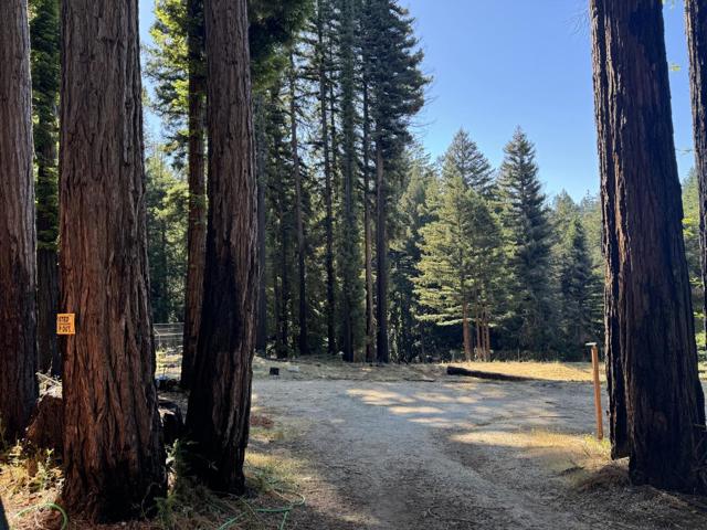 830 Kings Highway, Boulder Creek CA: https://media.crmls.org/mediaz/c5717e61-6f03-4103-941a-6c89039eebf2.jpg