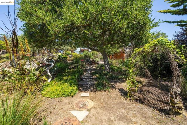 917 Avis Dr, El Cerrito CA: https://media.crmls.org/mediaz/c5720983-6fc6-49d8-85e4-4538e6de0d25.jpg
