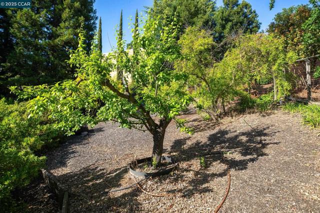 120 Heritage Oaks Pl, Alamo CA: https://media.crmls.org/mediaz/c57265b0-fb8f-41a4-82e1-753dce771228.jpg