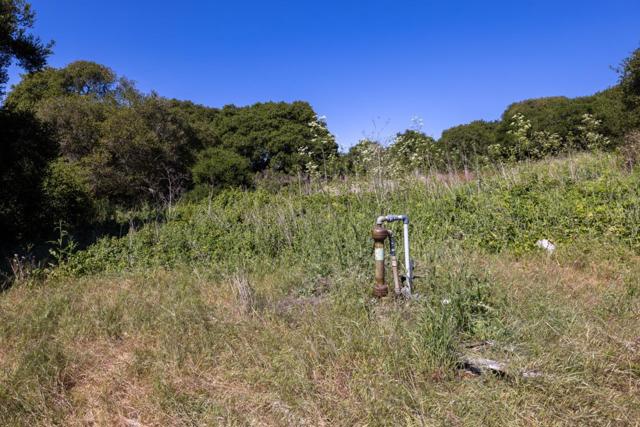 0 Del Monte Farms Road, Castroville CA: https://media.crmls.org/mediaz/c573f0c4-222e-4071-bdda-e233c98748f5.jpg