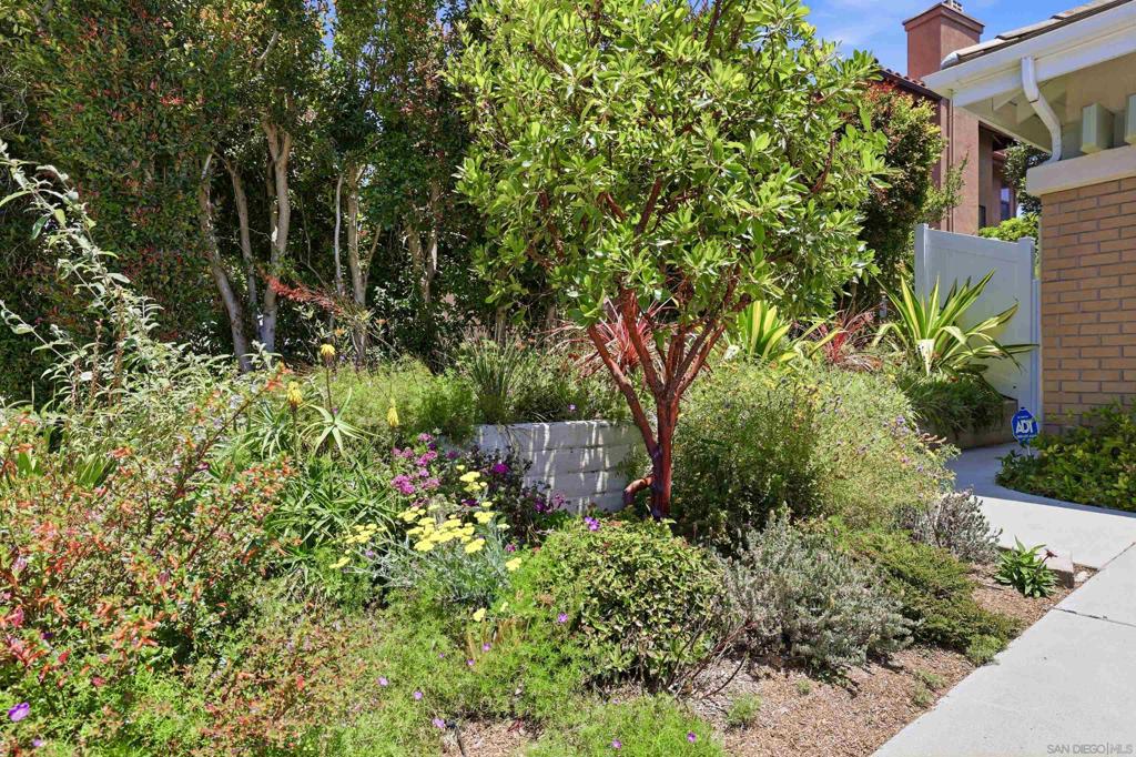 12705 Sandy Crest Court - photo 5
