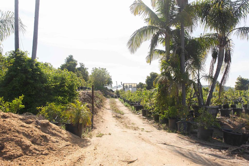 MLS #NDP2505846 image #30