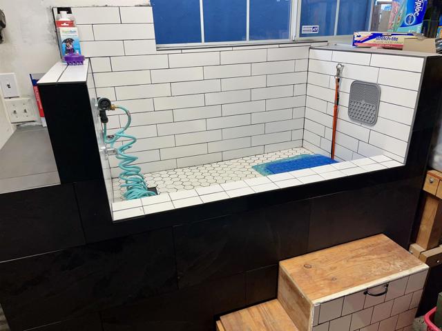 Dog washing station in garage