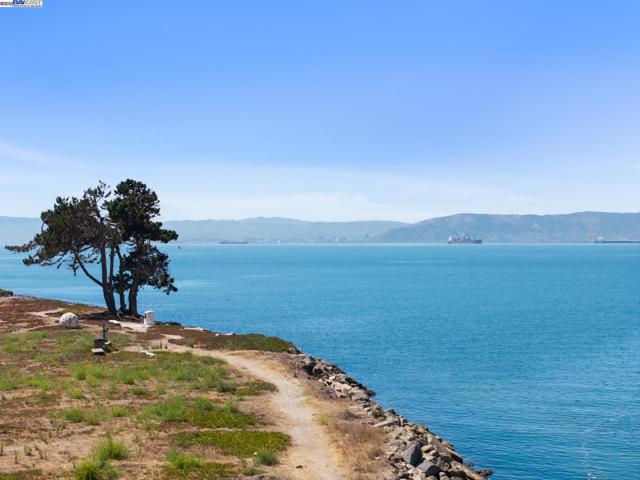 1230 Ballena Blvd, Alameda CA: https://media.crmls.org/mediaz/c58c9487-0d7a-4e28-8851-f44131b2d3f4.jpg
