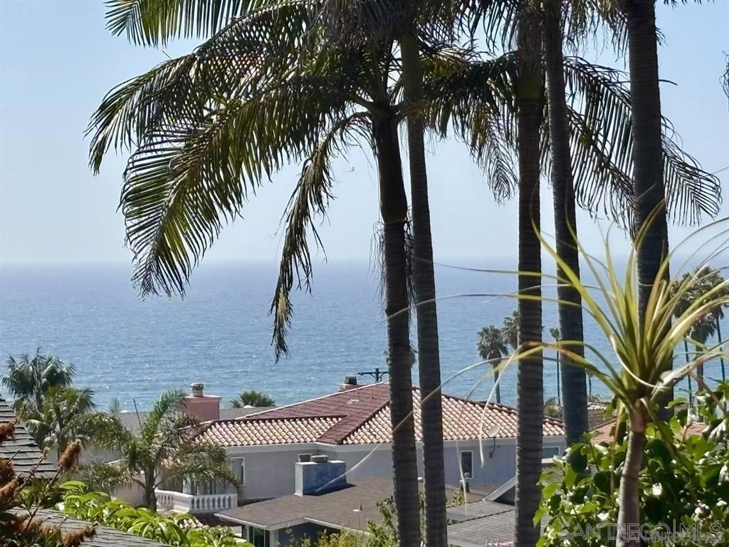 MLS #250043109SD image #32