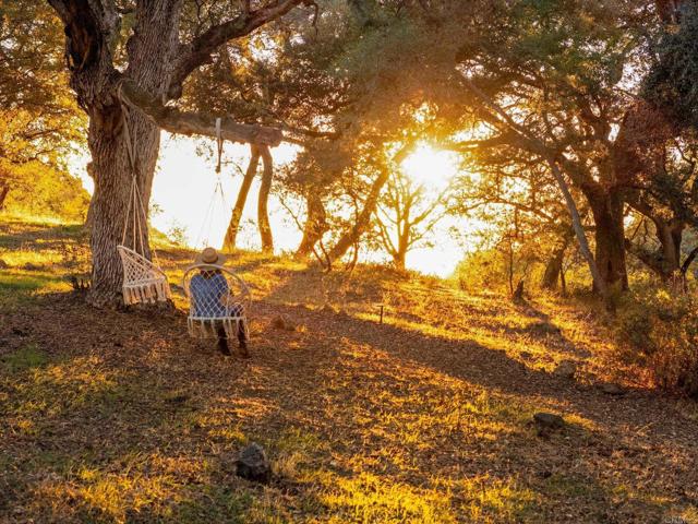 Detail Gallery Image 41 of 69 For 25258 Black Canyon Rd, Santa Ysabel,  CA 92070 - 3 Beds | 2 Baths
