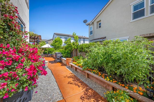250 Calle Del Rey, Morgan Hill CA: https://media.crmls.org/mediaz/c59c16d6-fc77-4ca9-be3d-23fc269aab75.jpg