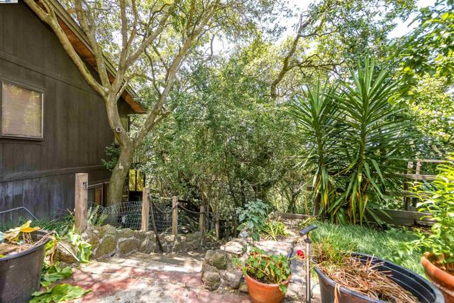 21 Red Rock Way, San Rafael CA: https://media.crmls.org/mediaz/c5a315b9-afd7-42e0-b0e9-36b869f7afc6.jpg