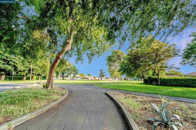 1233 Bockman, San Lorenzo CA: https://media.crmls.org/mediaz/c5aceffe-f4dd-4d77-b71c-5da2f2e2b581.jpg