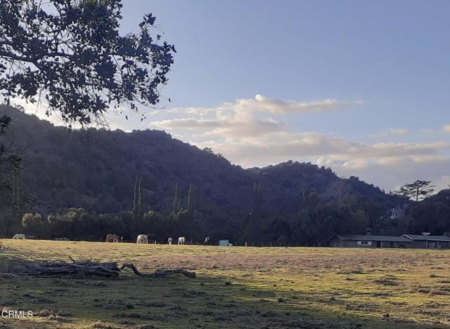 0 2 Burnham Road, Ojai CA: https://media.crmls.org/mediaz/c5b7cd31-7988-4301-b8ac-b36f2e3049bd.jpg