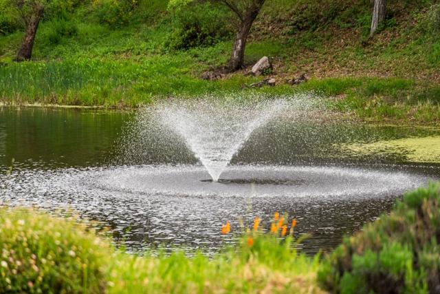 18301 Idylwild Road, Los Gatos CA: https://media.crmls.org/mediaz/c5b8529b-569f-460c-a923-00cf02ee1e6b.jpg