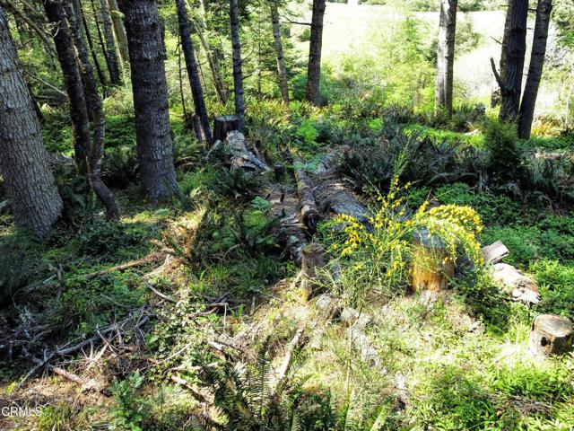 Detail Gallery Image 17 of 23 For 44551 Raven Ln, Mendocino,  CA 95460 - – Beds | – Baths