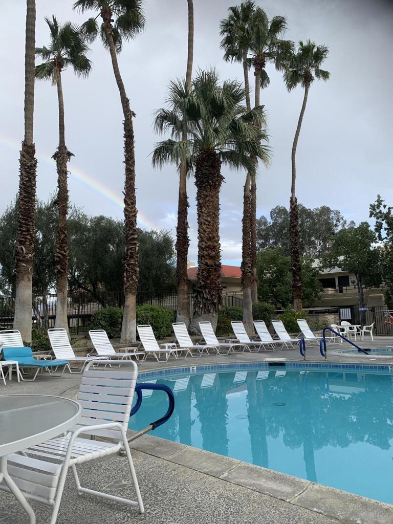 MLS #219135175DA image #7