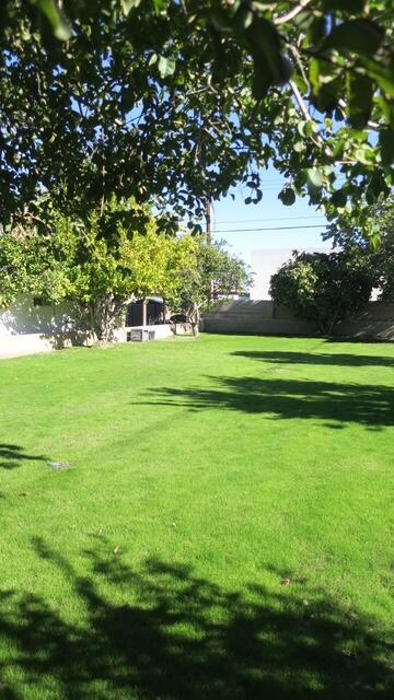 MLS #219139766DA image #27