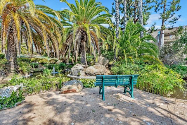 3050 Rue D'Orleans, San Diego CA: https://media.crmls.org/mediaz/c5d719e9-4dcd-4e53-a21c-1ce024576bdb.jpg