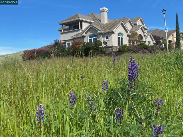 Details for 1021 Pebble Beach Dr, Clayton, CA 94517