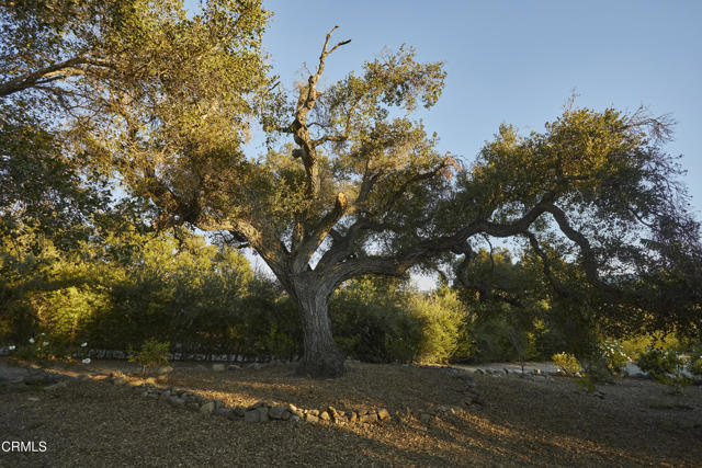 3450 Thacher Road, Ojai CA: https://media.crmls.org/mediaz/c5e539e1-591a-4c46-bd29-b37c79ab691a.jpg