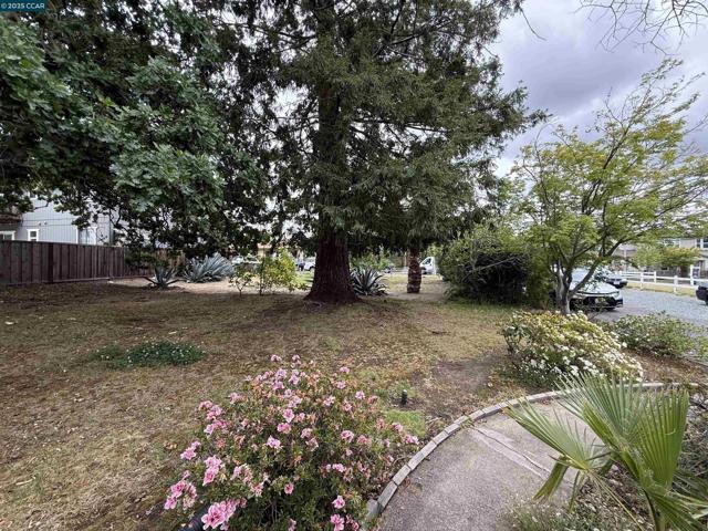 1580 3rd Ave, Walnut Creek CA: https://media.crmls.org/mediaz/c5e57e75-7fc6-4519-9e30-2171180f2aa4.jpg