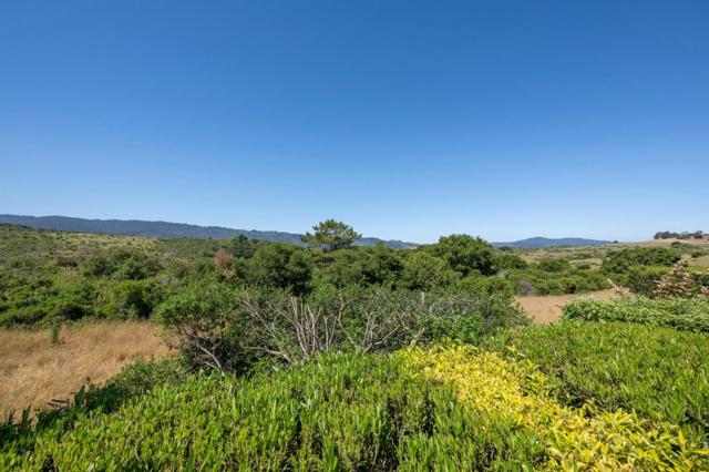 150 Crestview Drive, San Carlos CA: https://media.crmls.org/mediaz/c5e866c7-91b2-44d6-86a6-68ff491c20e8.jpg