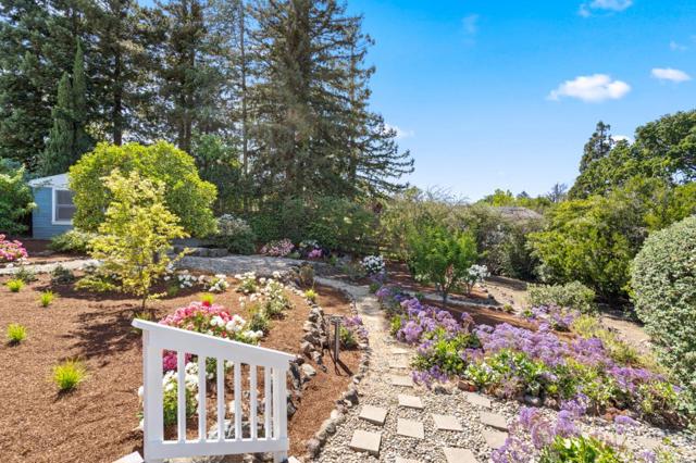 206 Frances Lane, Redwood City CA: https://media.crmls.org/mediaz/c5f60e3d-3c96-4c23-bc4a-203a4102ca7f.jpg
