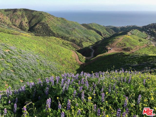 3900 Latigo Canyon Road, Malibu CA: https://media.crmls.org/mediaz/c5fc81ed-78b7-49ad-8b00-4bdfe06229ef.jpg