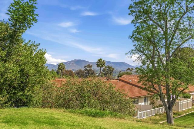 Detail Gallery Image 23 of 41 For 1862 Pleasantdale Lane, Encinitas,  CA 92024 - 2 Beds | 1 Baths