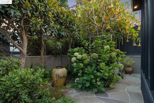 7 Requa Place, Piedmont CA: https://media.crmls.org/mediaz/c640f569-8533-4f29-a0a4-3dc2b8973626.jpg