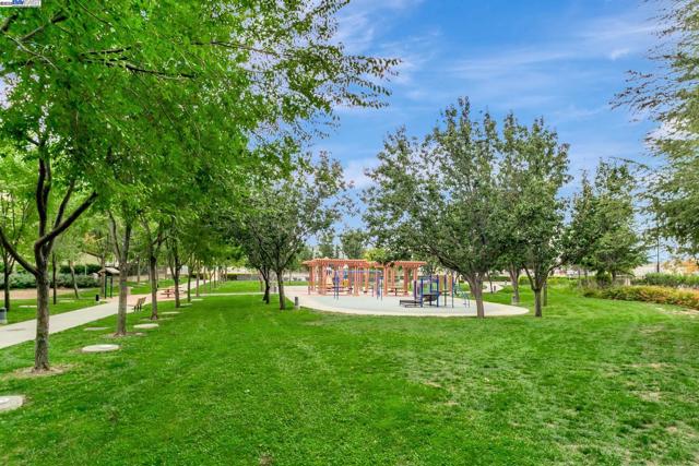 Community green and playground