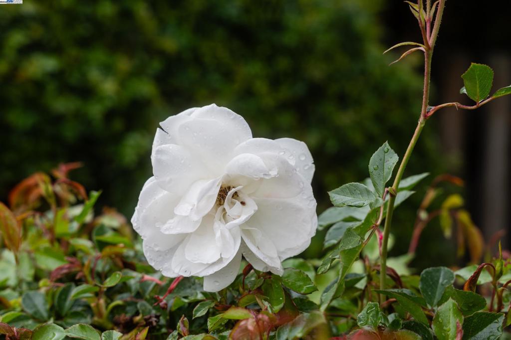 https://media.crmls.org/mediaz/c64cf22e-c8ce-49ab-bdb9-1382395fb536.jpg?preset=X-Large