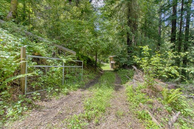 530 Logan Creek Road, Boulder Creek CA: https://media.crmls.org/mediaz/c6528ac7-8f0d-4ef5-ac4f-2d3ad0f22434.jpg