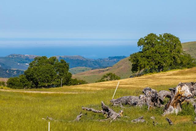 24 Vasquez Trail (Lot 254), Carmel CA: https://media.crmls.org/mediaz/c65513ed-3bec-454c-af61-d57db5711746.jpg