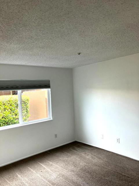 443 Lincoln Avenue, Cotati CA: https://media.crmls.org/mediaz/c6570f17-c8f8-4dba-8dfb-a039ba589d0c.jpg